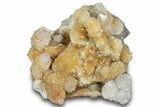 Sparkling Cactus Quartz Crystal Cluster - South Africa #303482-1